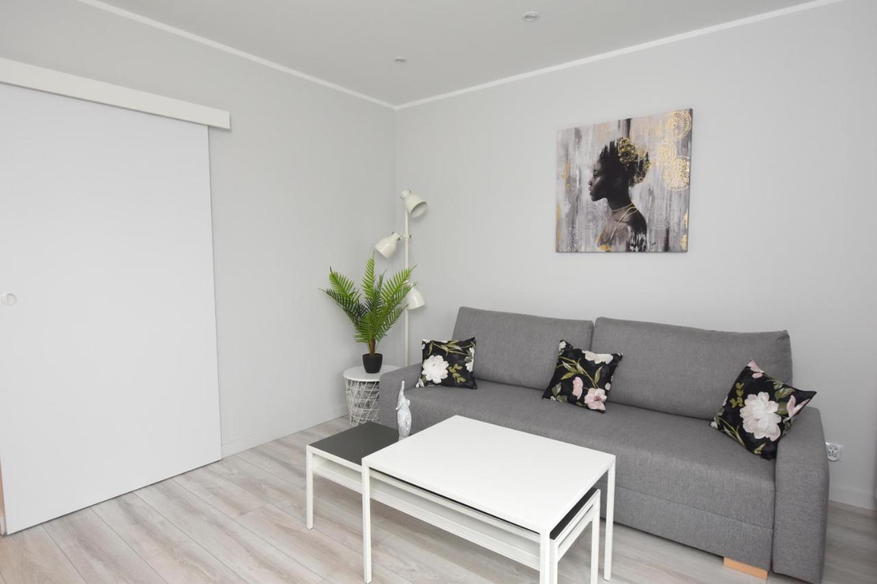 Dreamer Apartment Stary Toruń エクステリア 写真