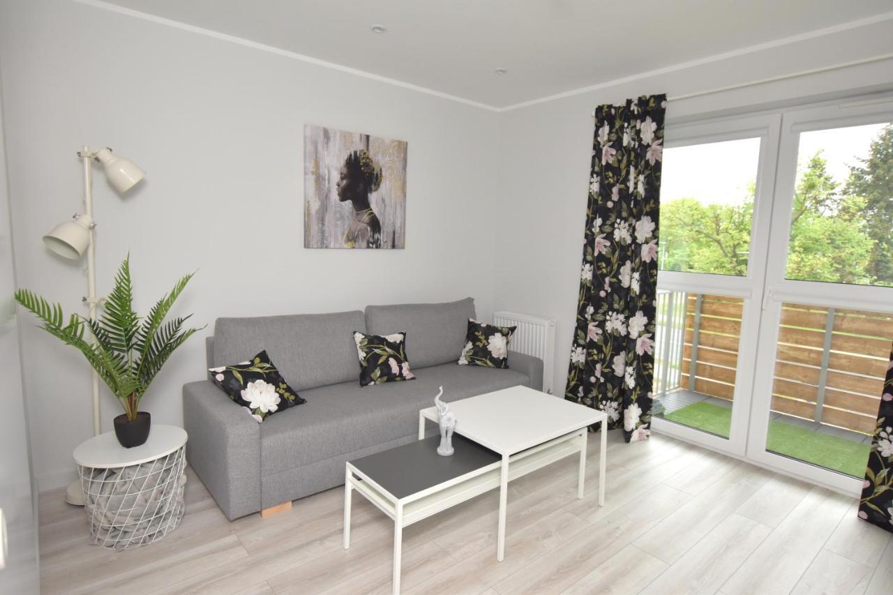Dreamer Apartment Stary Toruń エクステリア 写真
